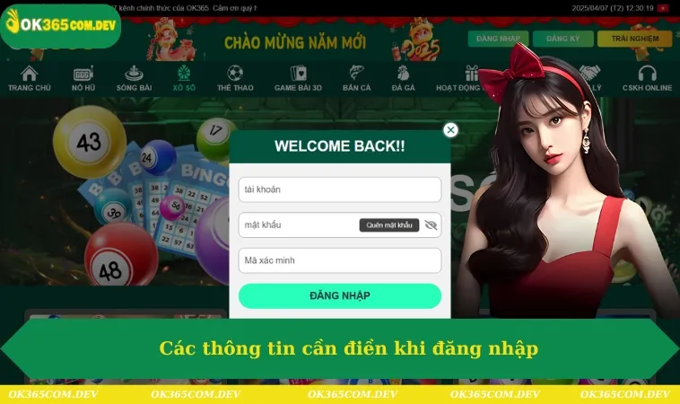 Đăng Nhập OK365 220 Các thông tin cần điền khi đăng nhập
